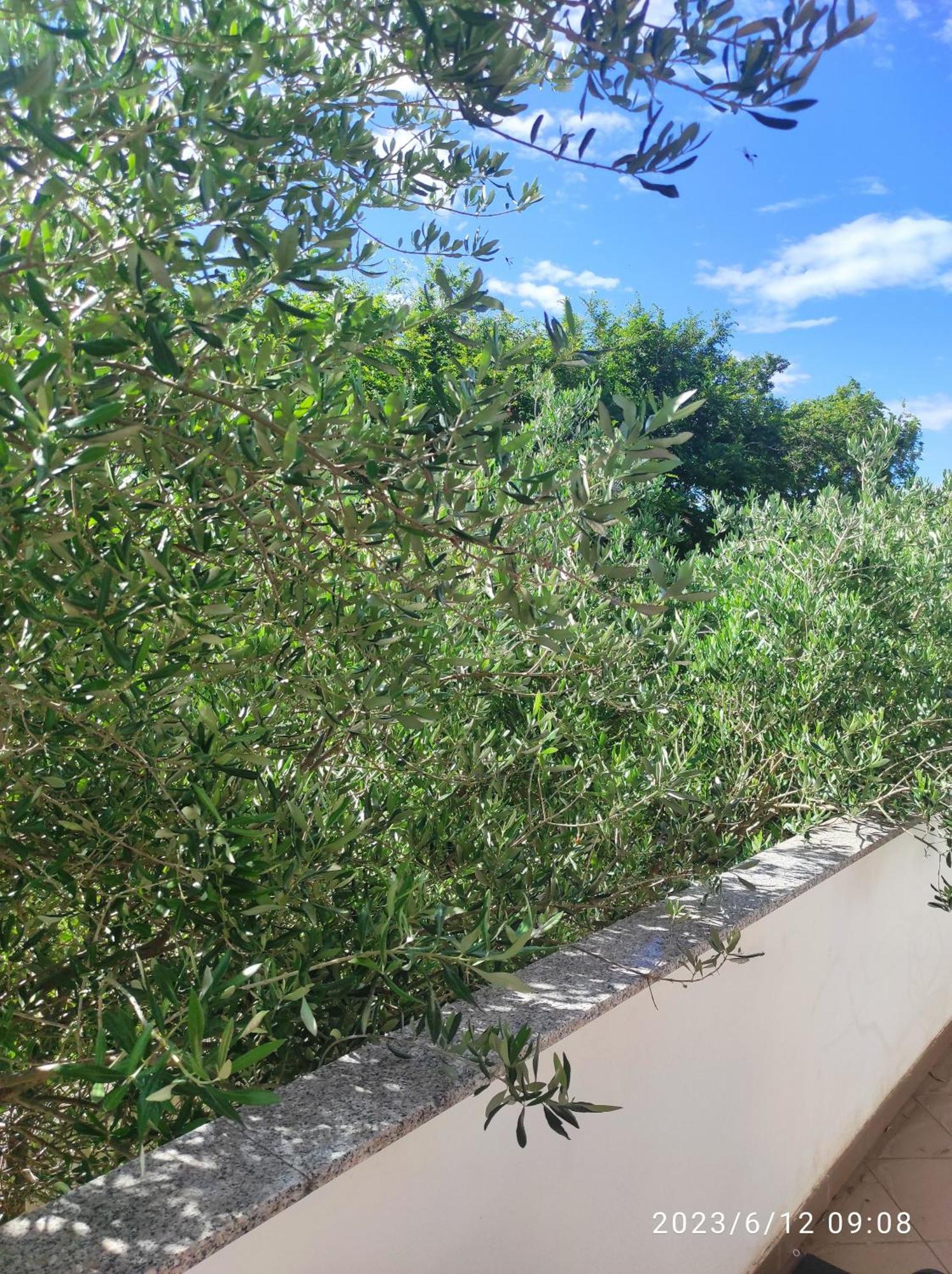 Apartments Zaton Draga المظهر الخارجي الصورة