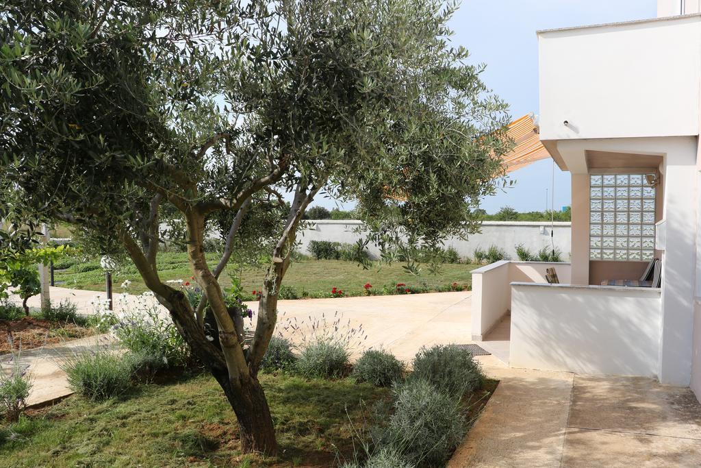 Apartments Zaton Draga المظهر الخارجي الصورة