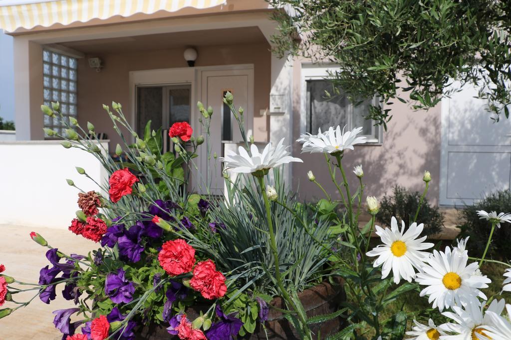 Apartments Zaton Draga المظهر الخارجي الصورة