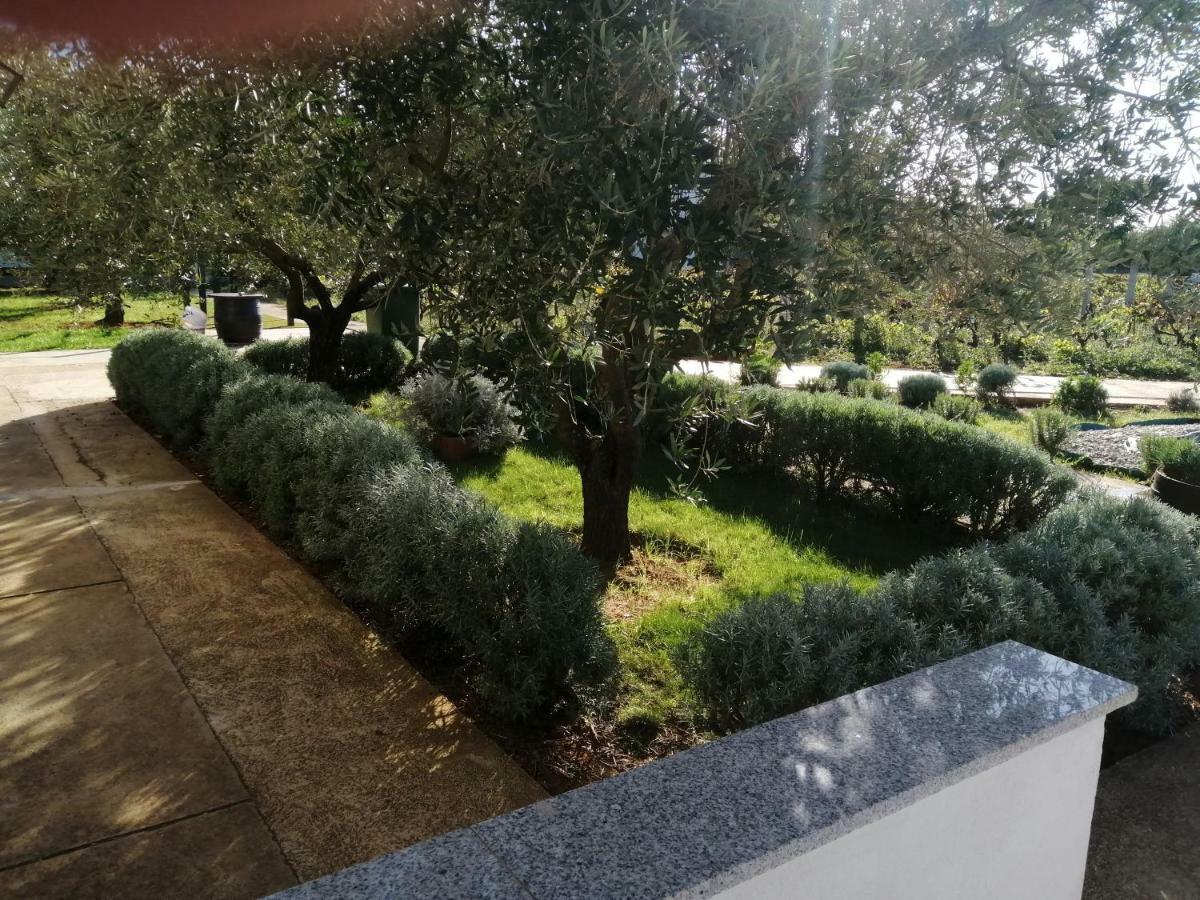Apartments Zaton Draga المظهر الخارجي الصورة