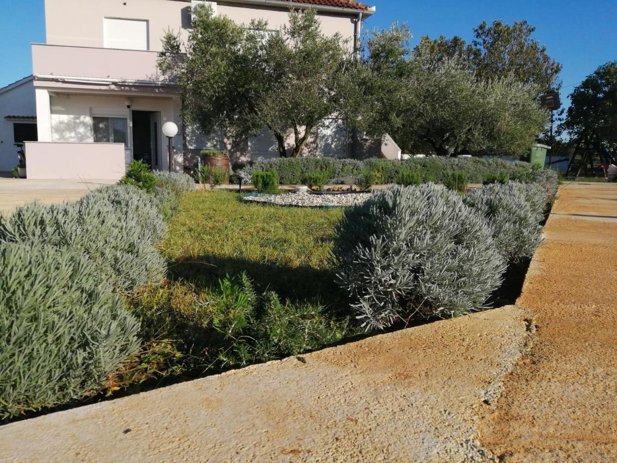 Apartments Zaton Draga المظهر الخارجي الصورة